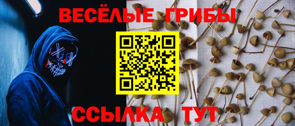 Галлюциногенные грибы Magic Shrooms  Галлюциногенные грибы мухоморы  Вход с VPN  купить   Татарск 